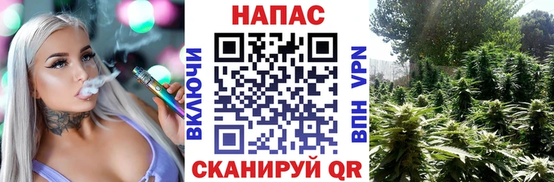 Где купить наркоту Мурино ГАШИШ КОКАИН Меф мяу мяу МАРИХУАНА