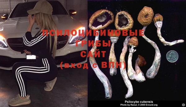 каннабис Новозыбков
