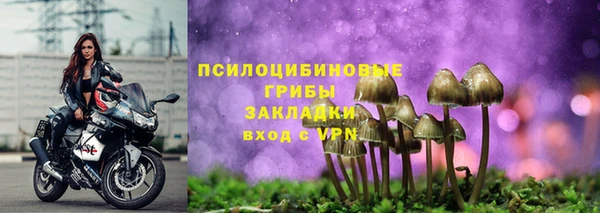 каннабис Новозыбков